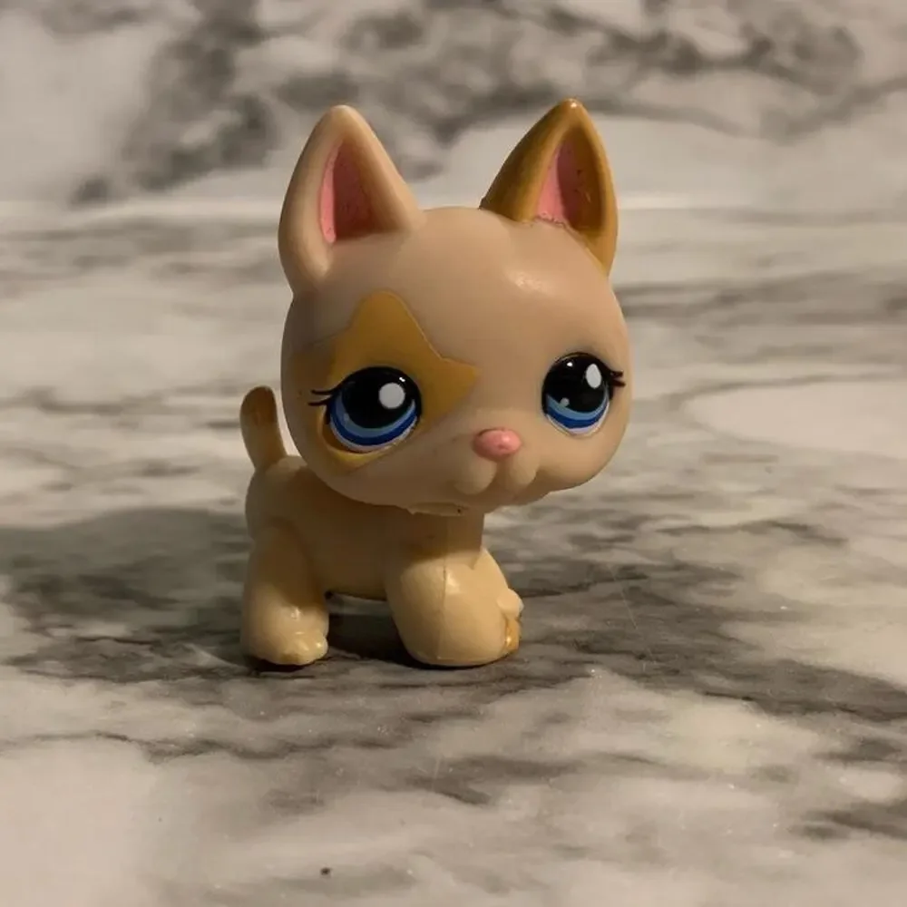 Authentic exclusive littlest pet 1169